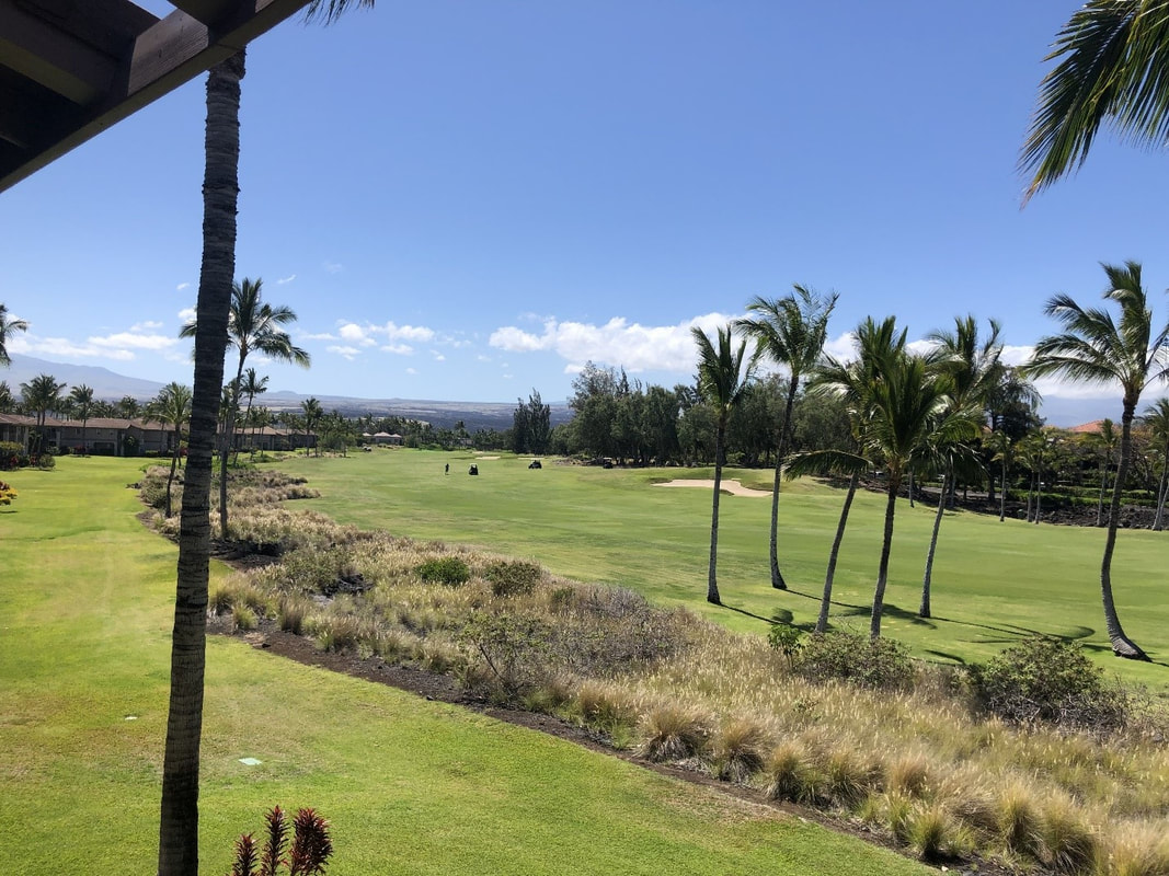 View from Waikoloa Town Home, on behalf of April Lee of Kohala Real Estate and 2nd Home Services LLC